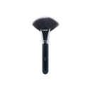 Fan Brush